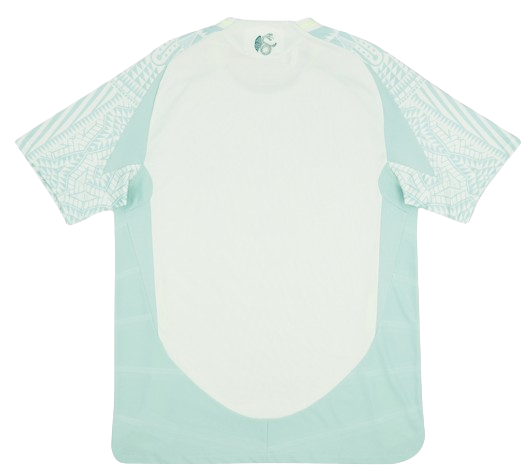Mexico 2024/25 (Away)